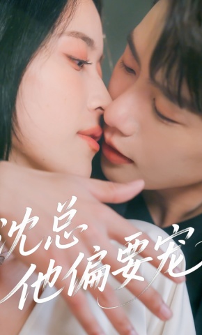 短剧沈总他偏要宠海报