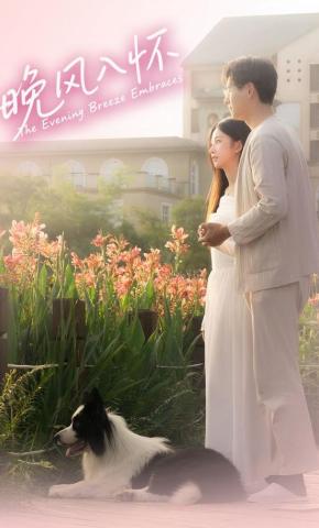 短剧《晚风入怀》海报