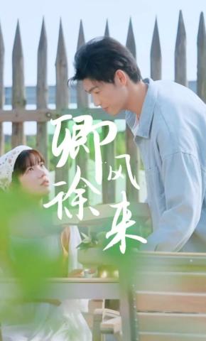 短剧卿风徐来海报