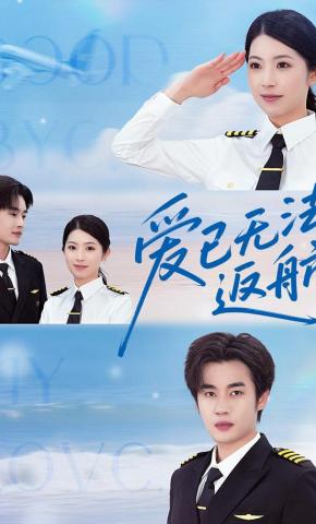 短剧《爱已无法返航》海报