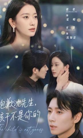 短剧《抱歉沈先生，孩子不是你的》海报