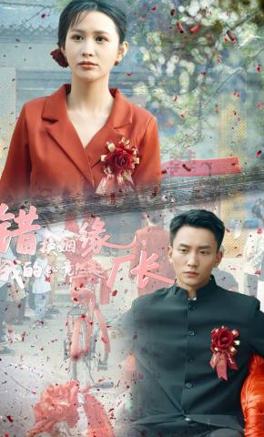 短剧《错换姻缘，我的老公竟然是厂长》海报