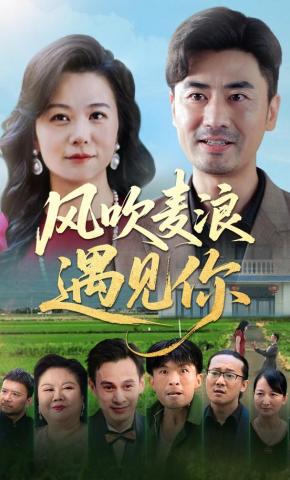 短剧《风吹麦浪遇见你》海报