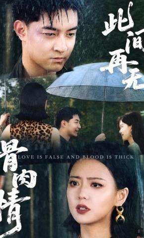 短剧《此间再无骨肉情》海报