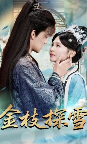 短剧《金枝探雪》海报