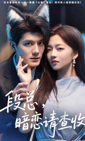 短剧《段总，暗恋请查收》海报