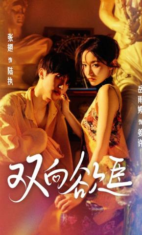 短剧《双向欲臣》海报