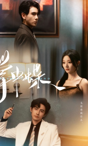 短剧《掌中蝶》海报