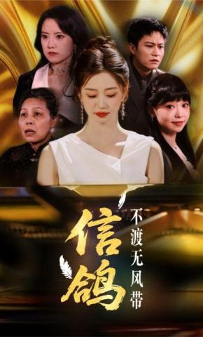 短剧信鸽不渡无风带海报