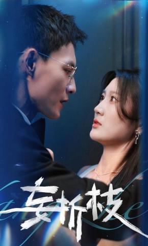 短剧《妄折枝》海报