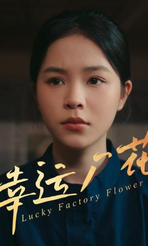 短剧幸运厂花海报