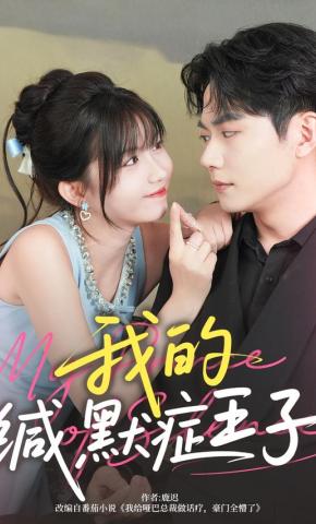 短剧《我的缄默症王子》海报