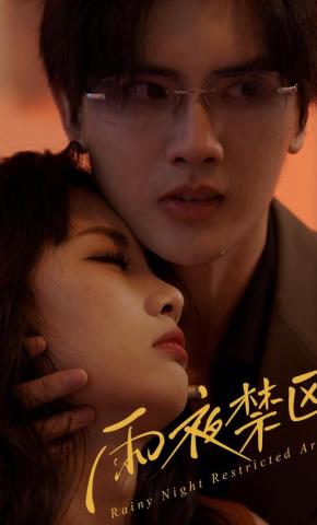 短剧《雨夜禁区》海报