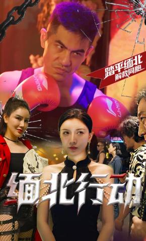 短剧《缅北行动》海报