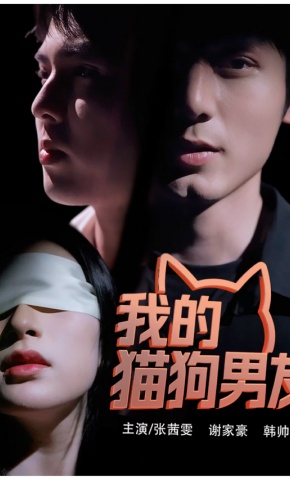 短剧我的猫狗男友海报