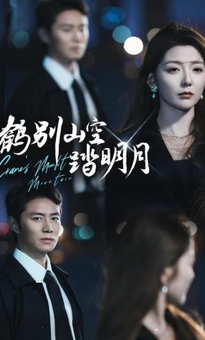 短剧《鹤别山空踏明月》海报