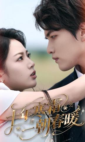 短剧《十年寒霜一朝春暖》海报