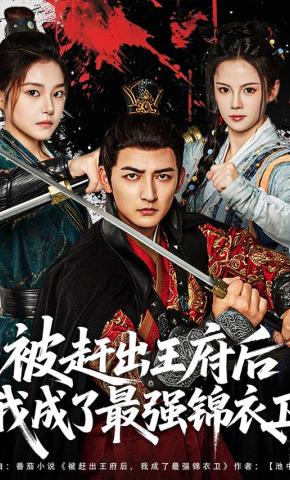 短剧《被赶出王府后我成了最强锦衣卫》海报