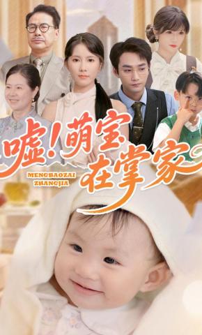 短剧《嘘！萌宝在掌家》海报