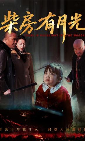 短剧《柴房有月光》海报