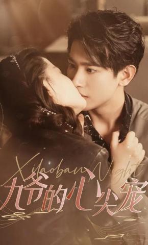 短剧《九爷的心尖宠》海报