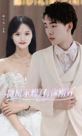 短剧《微风不燥 有你刚好》海报