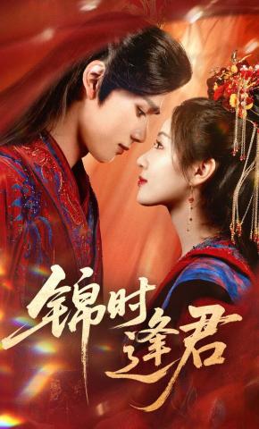 短剧锦时逢君海报