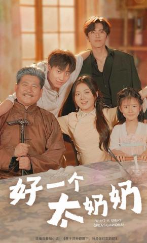 短剧好一个太奶奶海报