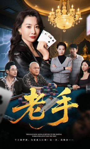 短剧《老手》海报