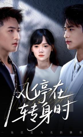 短剧《风停在转身时》海报