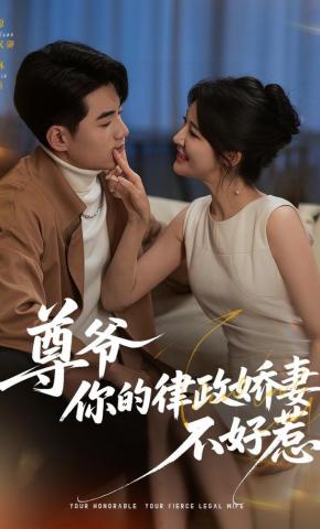 短剧尊爷，你的律政娇妻不好惹海报