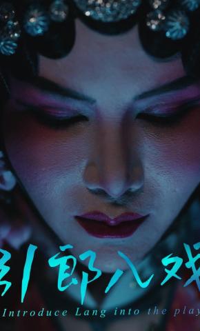 短剧引郎入戏海报