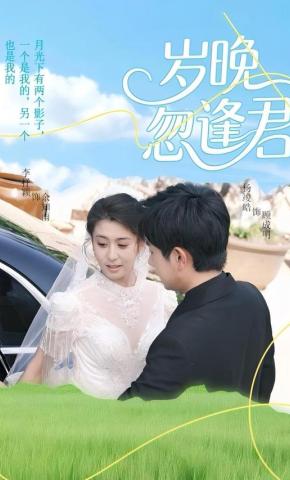 短剧《岁晚忽逢君》海报