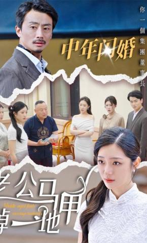 短剧中年闪婚，老公马甲掉一地海报