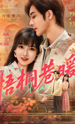 短剧《梧桐巷暖》海报