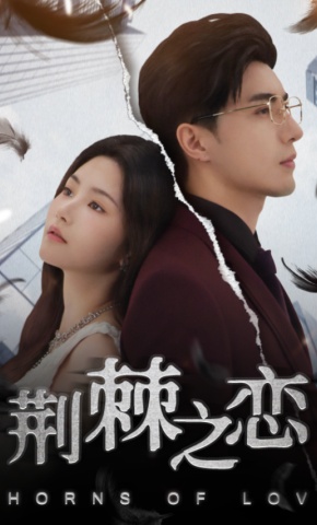 短剧《荆棘之恋》海报