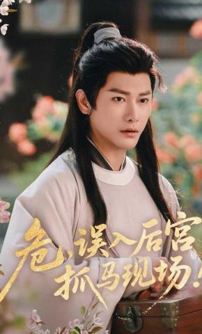 短剧危！误入后宫抓马现场海报