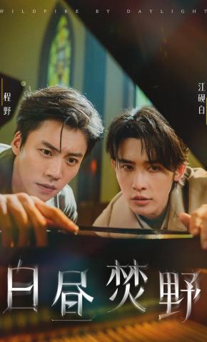 短剧《白昼焚野》海报