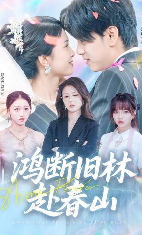 短剧《鸿断旧林赴春山》海报