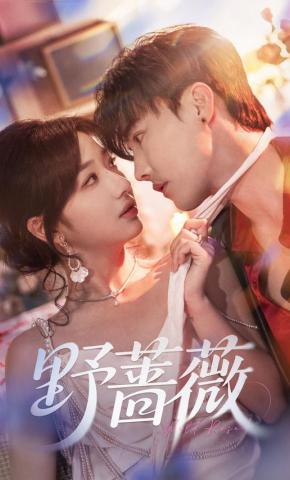 短剧《野蔷薇》海报