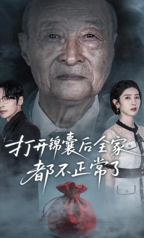 短剧打开锦囊后全家都不正常了海报