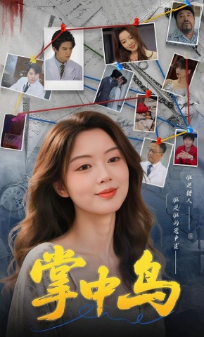 短剧掌中鸟海报