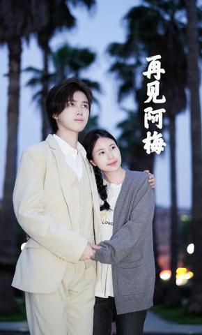 短剧《再见阿梅》海报