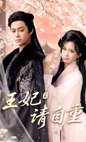 短剧《王妃请自重》海报