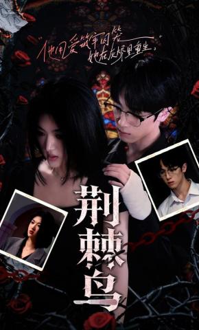 短剧《荆棘鸟》海报