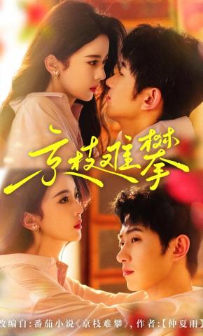 短剧《京枝难攀》海报