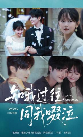 短剧《知我过往同我啜泣》海报