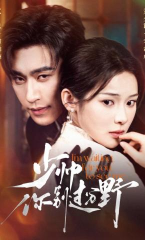 短剧《少帅你别过分野》海报