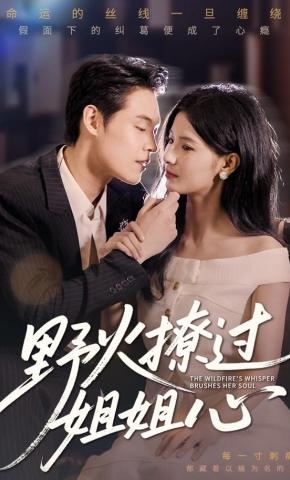 短剧《野火撩过姐姐心》海报