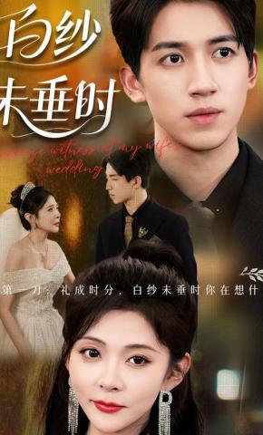 短剧《白纱未垂时》海报